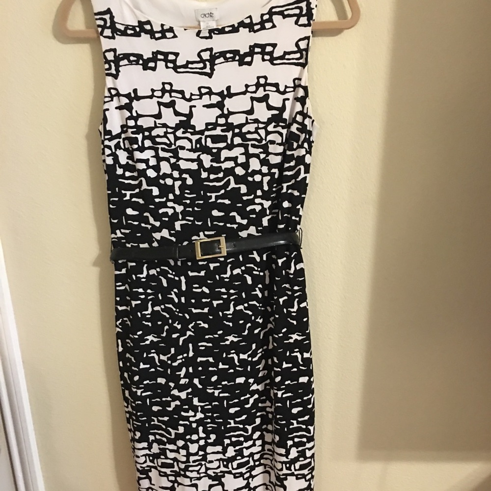 Versatile dress with leather belt.